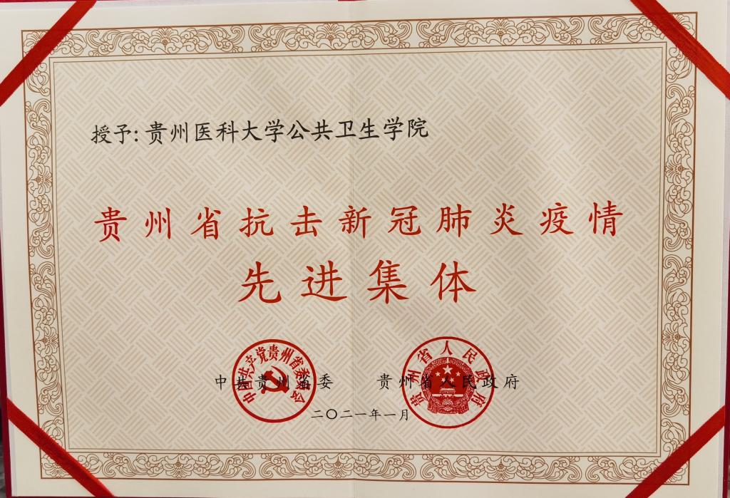 公共卫生公司荣获贵州省抗疫先进集体1