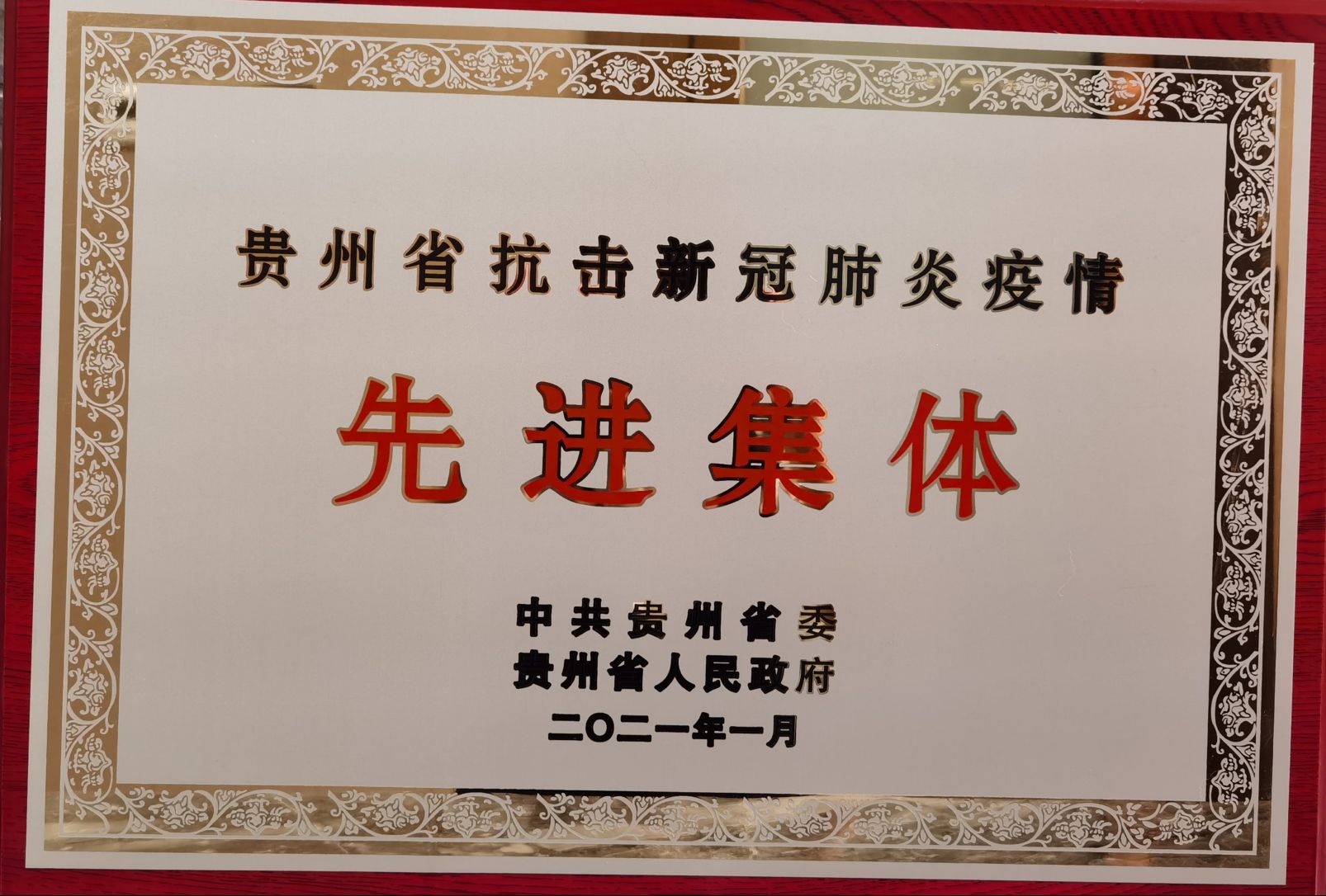 公共卫生公司荣获贵州省抗疫先进集体2